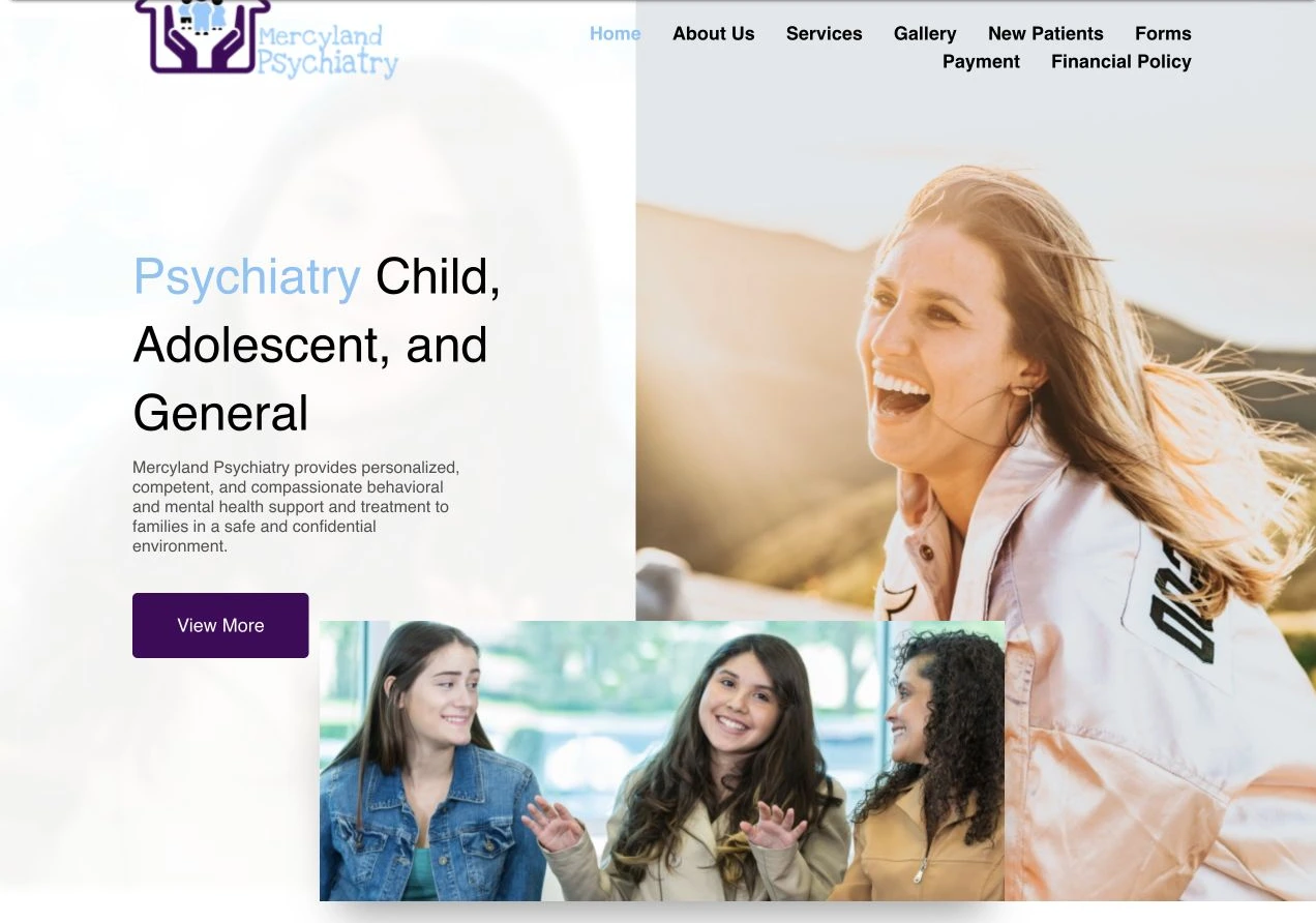 Mercyland Psychiatry — Before website view