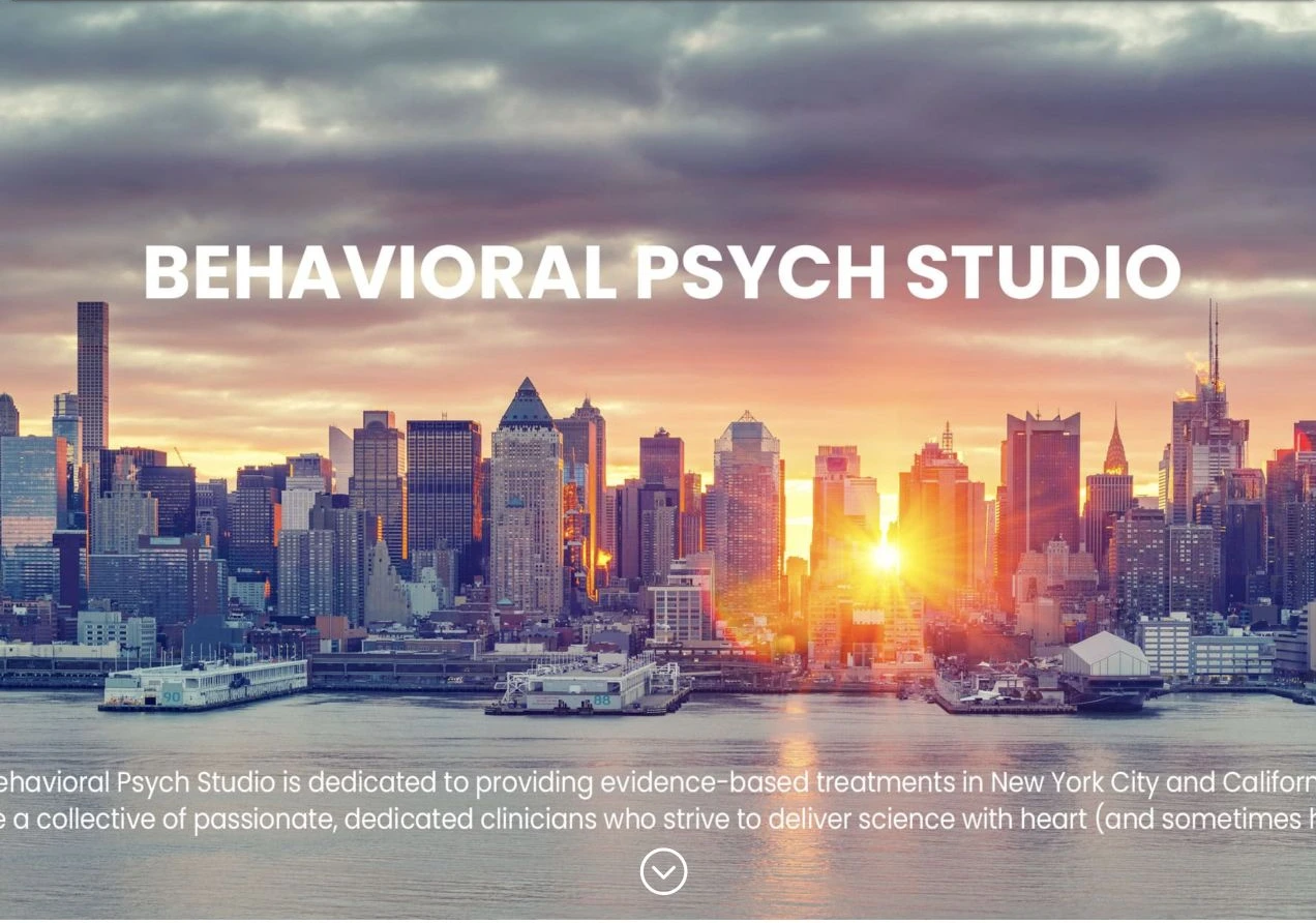 Behavioral Psych Studio — Before website view