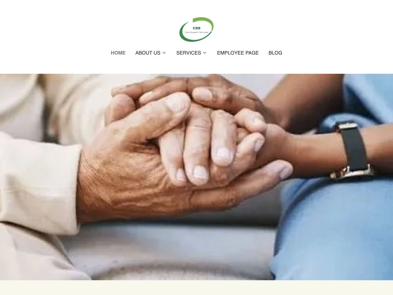 Care Support Services website at laptop width